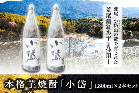 本格芋焼酎「小岱」1800ml×2本セット 《30日以内に出荷予定(土日祝除く)》荒尾市 熊本県 あずま使用 芋焼酎 酒 荒尾市観光協会 st-p