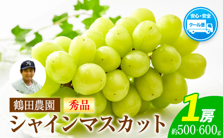 【秀品】先行予約 シャインマスカット 約500~600g (1房)  フルーツ 果物 送料無料 葡萄 ぶどう マスカット  鶴田農園 熊本県荒尾市産《8月下旬-9月下旬頃出荷》 美味しいシャインマスカット 旬のシャインマスカット ジューシーシャインマスカット フルーツシャインマスカット