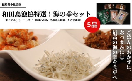 ちりめん 海の幸 セット 5種 干しエビ 塩蔵 わかめ 佃煮 しらす 山椒 冷蔵 