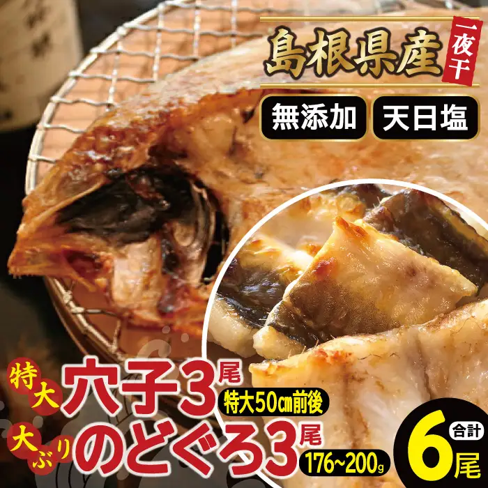 大ぶり「のどぐろ一夜干し」＆特大「穴子一夜干し」【干物セット のどぐろ干物 176～200g×3尾 穴子干物 50cm前後×3尾 のどぐろ ノドグロ 穴子 あなご アナゴ 干物 ひもの 無添加 真空パック 父の日 母の日】