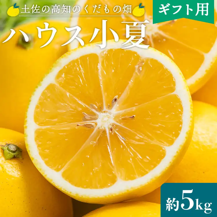 【2027年出荷分】ハウス小夏(日向夏) 5kg(ギフト用) フルーツ kd-0032
