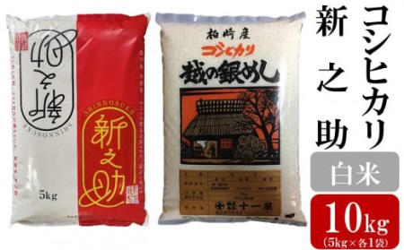 新米先行予約・令和8年産新米【五ツ星お米マイスター厳選】コシヒカリ 5kg・新之助 5kg（白米 計10kg）[Y0559]