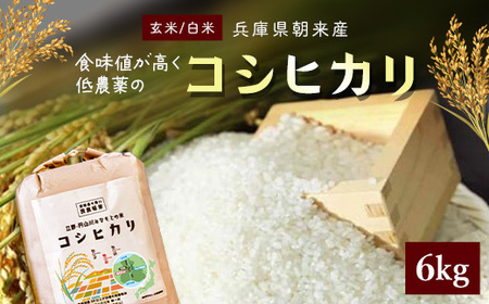 【令和6年産】食味値が高く低農薬のコシヒカリ6kg【円山川源流域の清流で育った米】 兵庫県 朝来市 AS4BB33