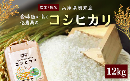 【令和6年産】食味値が高く低農薬のコシヒカリ12kg【円山川源流域の清流で育った米】 兵庫県 朝来市 AS4CA23