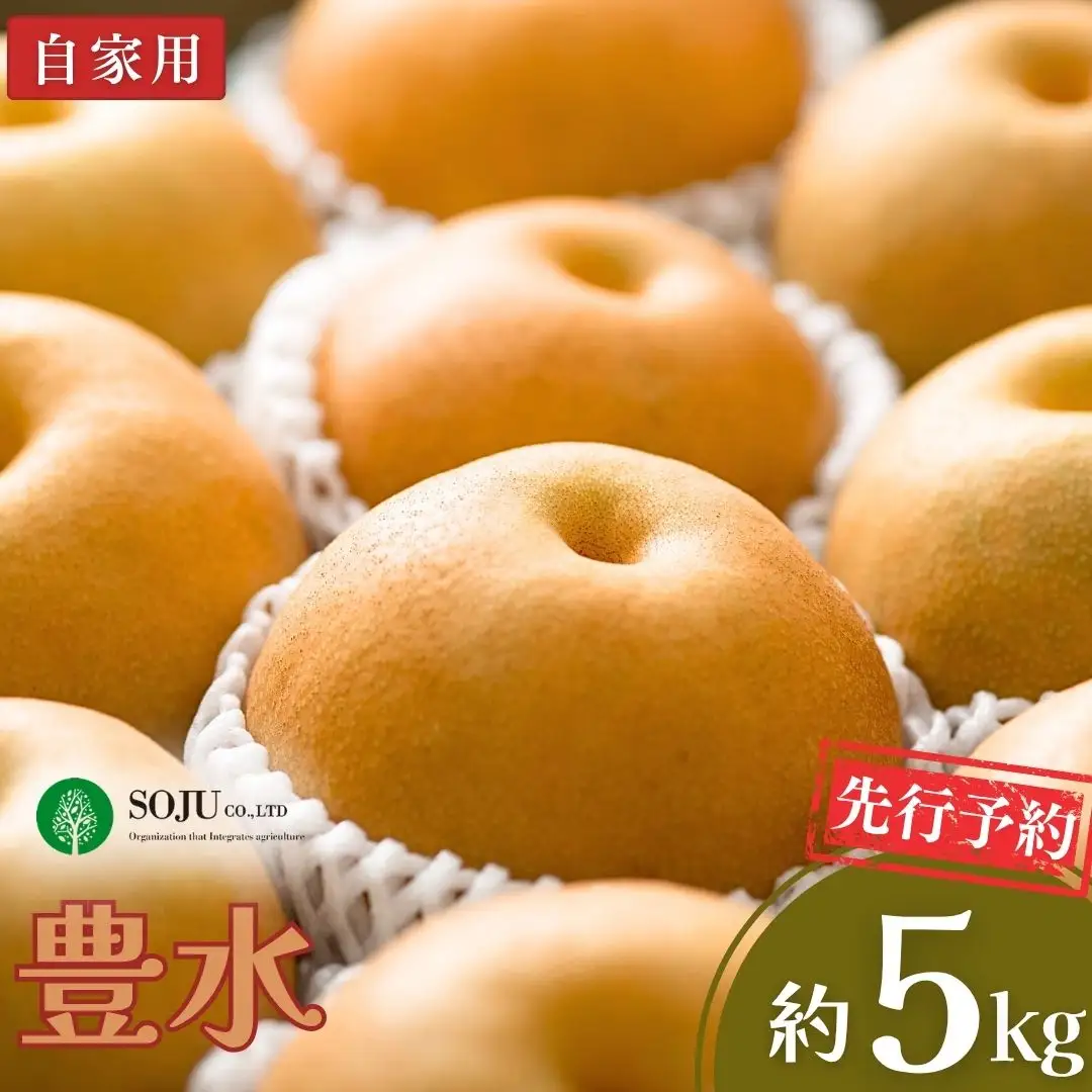 先行予約 和梨 豊水 自家用 約5kg  新潟県 三条市