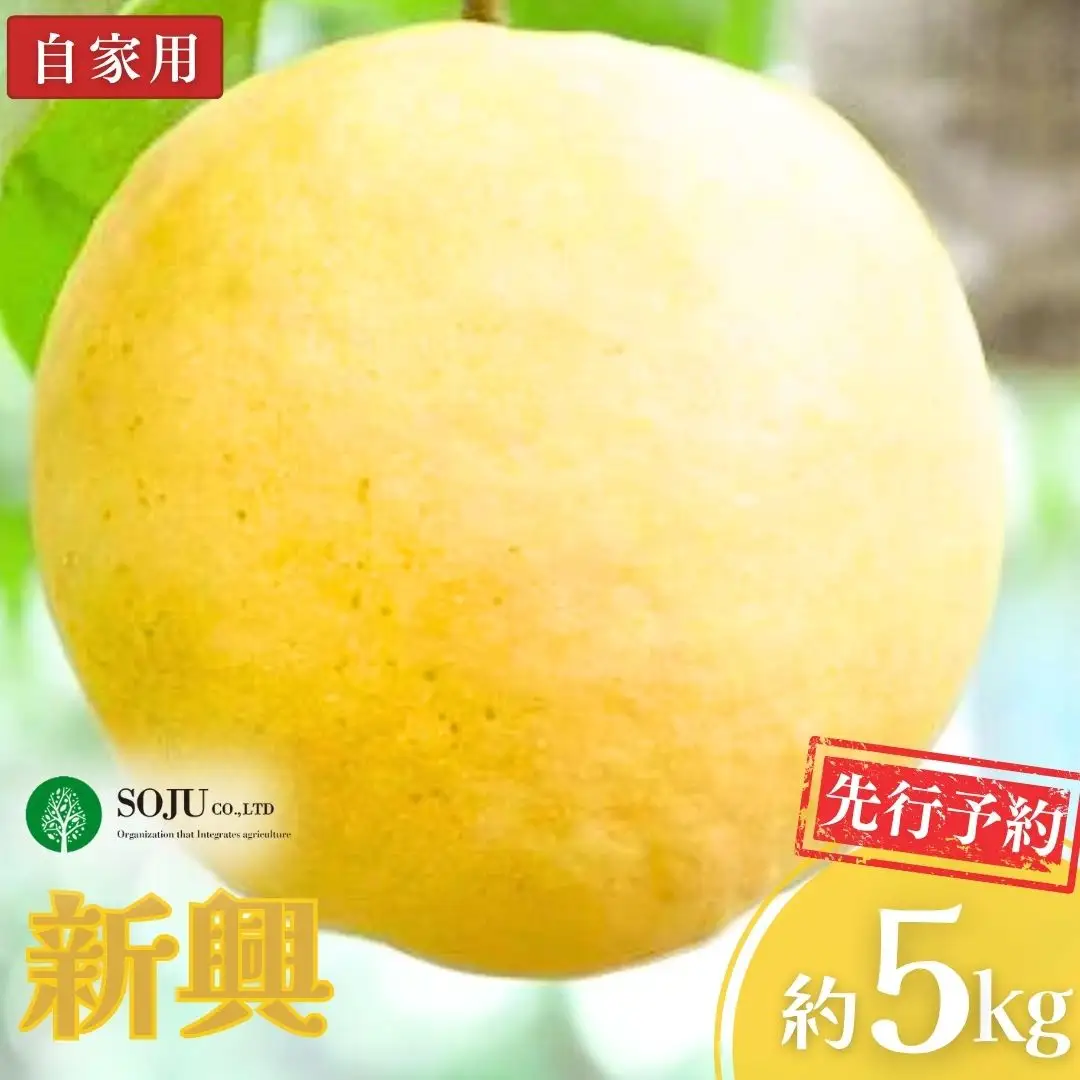 先行予約 和梨 新興 自家用 約5kg 令和8年新潟県 三条果樹専門家集団