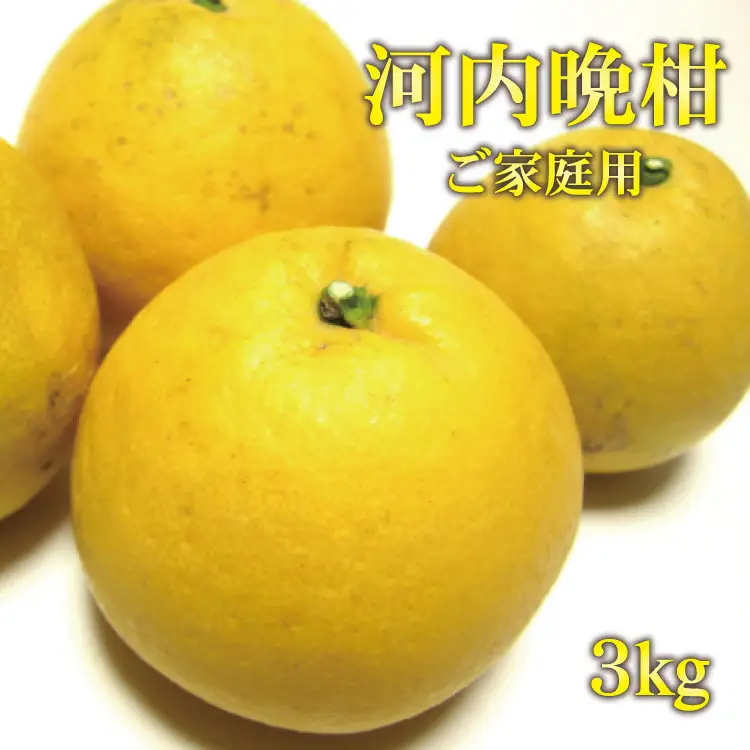 【和製グレープフルーツ】有田育ちの河内晩柑(ご家庭用)　3kg+200g(補償分)【2027年4月上旬～5月下旬頃に順次発送予定】【ard028C】