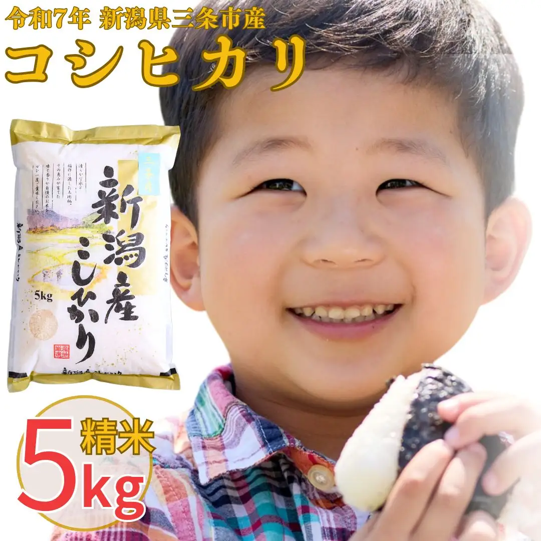 コシヒカリ 5kg 精米 令和7年 新潟県三条市産  コシヒカリ 白熊