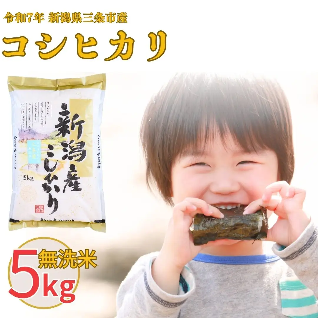 無洗米 令和7年産 コシヒカリ 三条市 5kg ｜ 無洗