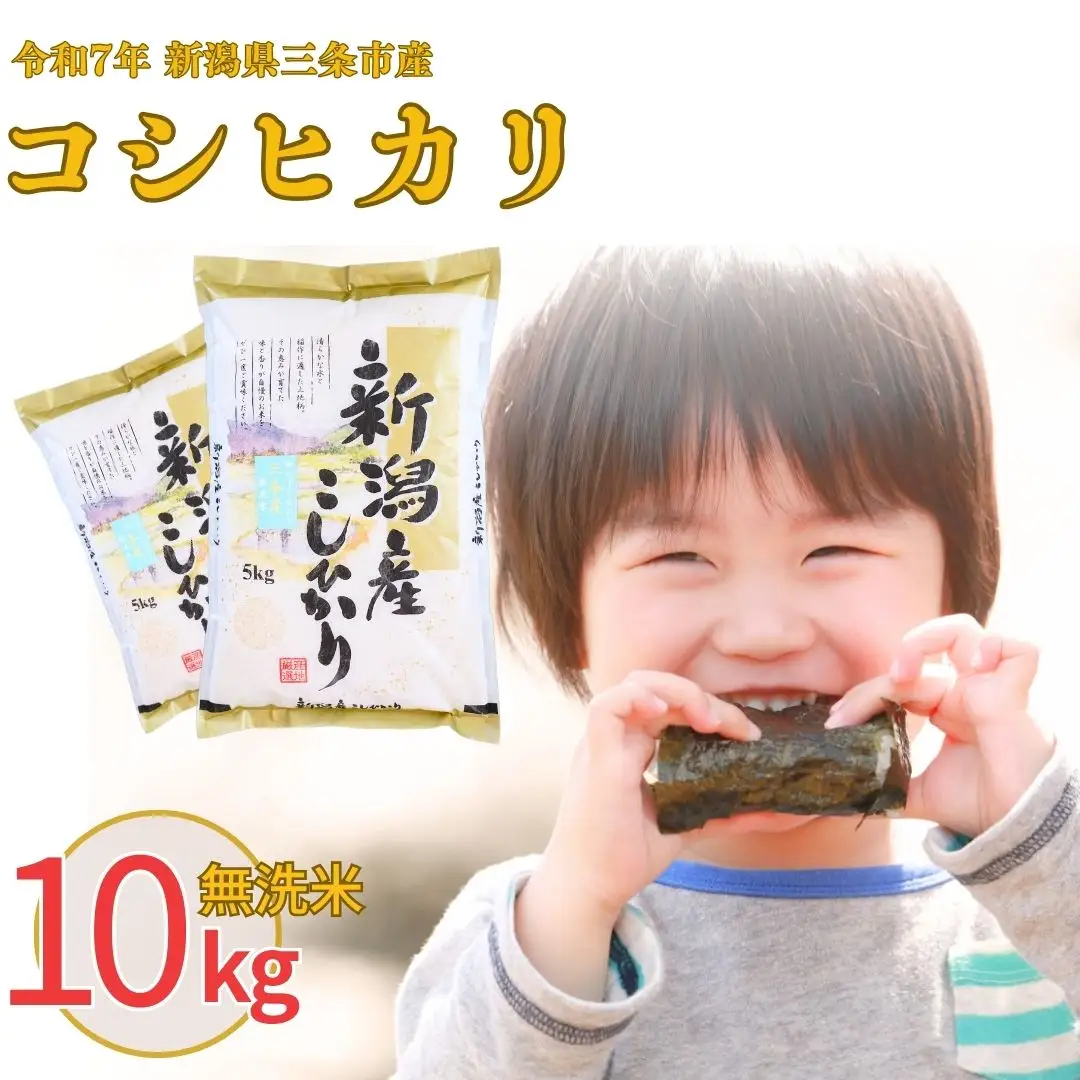 無洗米 新潟県三条市産 コシヒカリ 10kg  令和7年 コシヒカリ 白熊