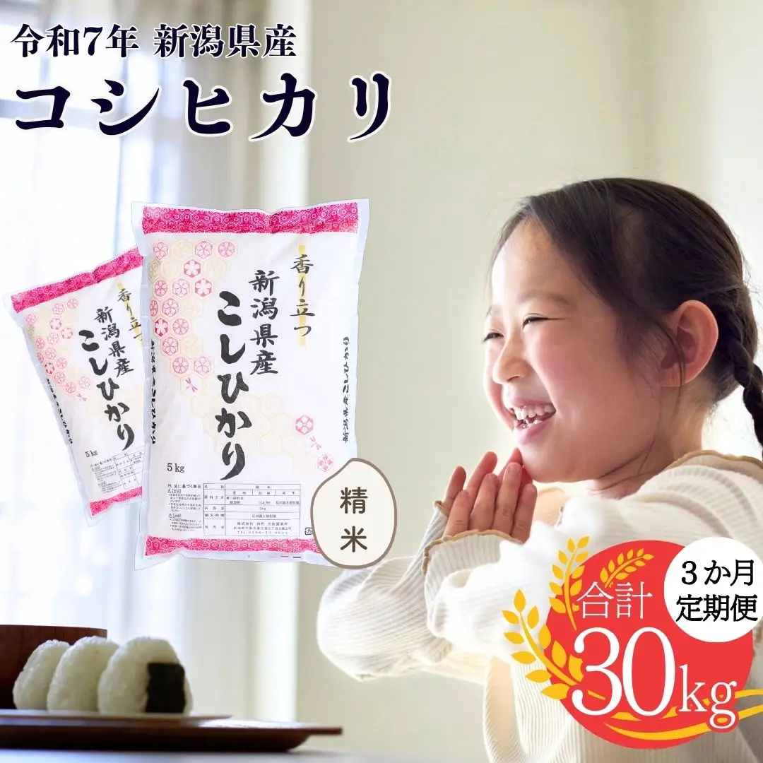 先行予約 コシヒカリ 定期便10kg×3ヶ月 令和8年 新潟県 こしひかり 株式会社白熊