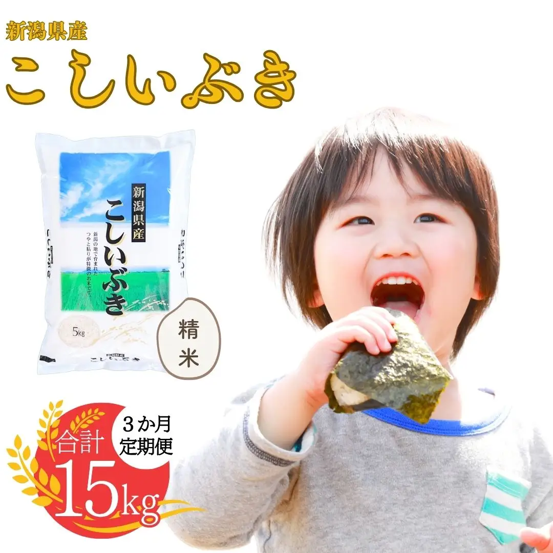 先行予約 [定期便5kg×3ヶ月] 令和8年産 新潟県産こしいぶき 計15kg 3か月連続でお届け 白熊 コシイブキ【016S008】