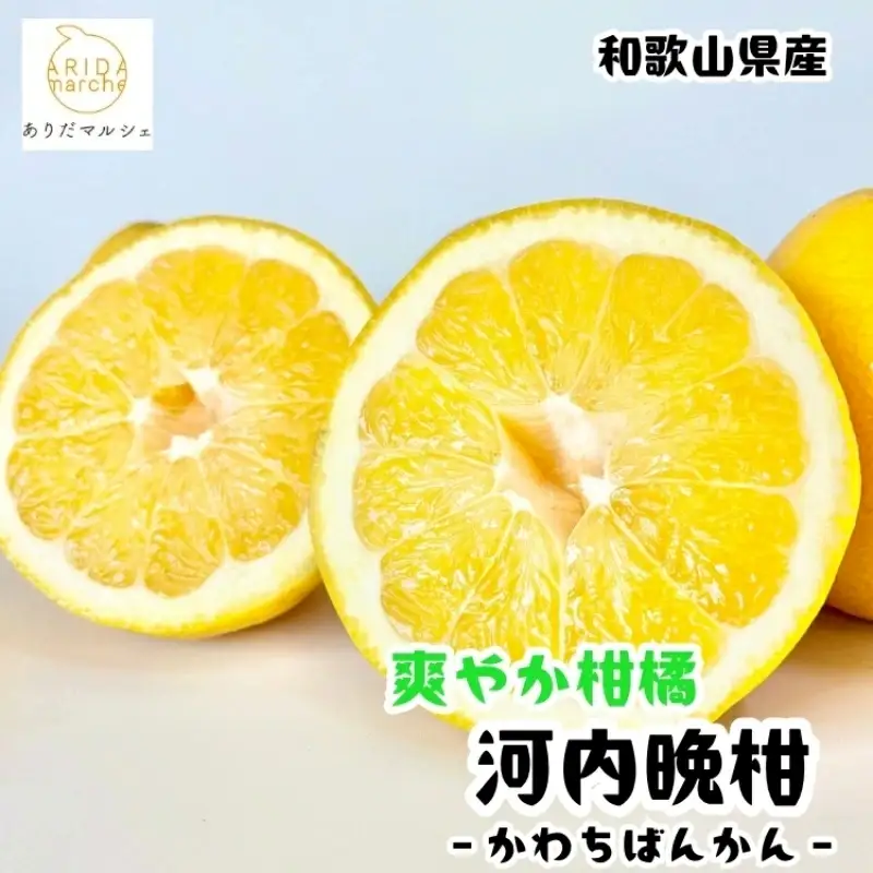 【和製グレープフルーツ】有田育ちの河内晩柑(ご家庭用)　約3kg+200g(補償分)【2027年4月上旬～5月下旬頃に順次発送予定】【ard028C】