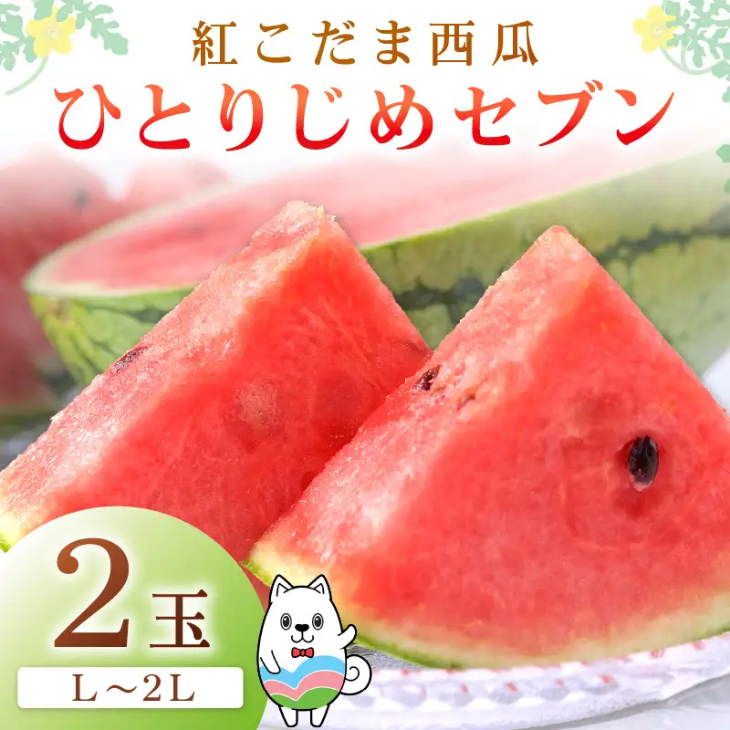 紅こだま西瓜（ひとりじめセブン）2玉入り《先行予約2027年5月中旬から順次発送》【0896-4】