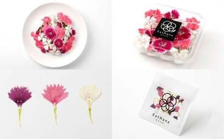 エディブルフラワーナデシコMIX（20輪入り）2種4パックセット【食べられるお花 栽培期間中 農薬不使用】
