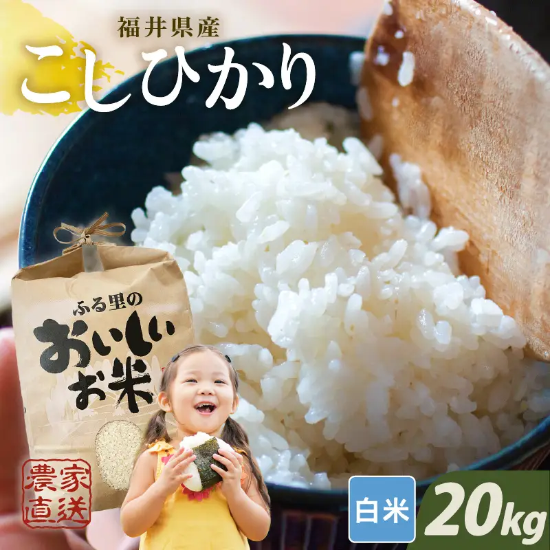 【先行予約】【令和8年産・新米】【白米10kg×2袋】福井県産 コシヒカリ20kg 【2026年10月上旬以降順次発送】 [D-8915_01]