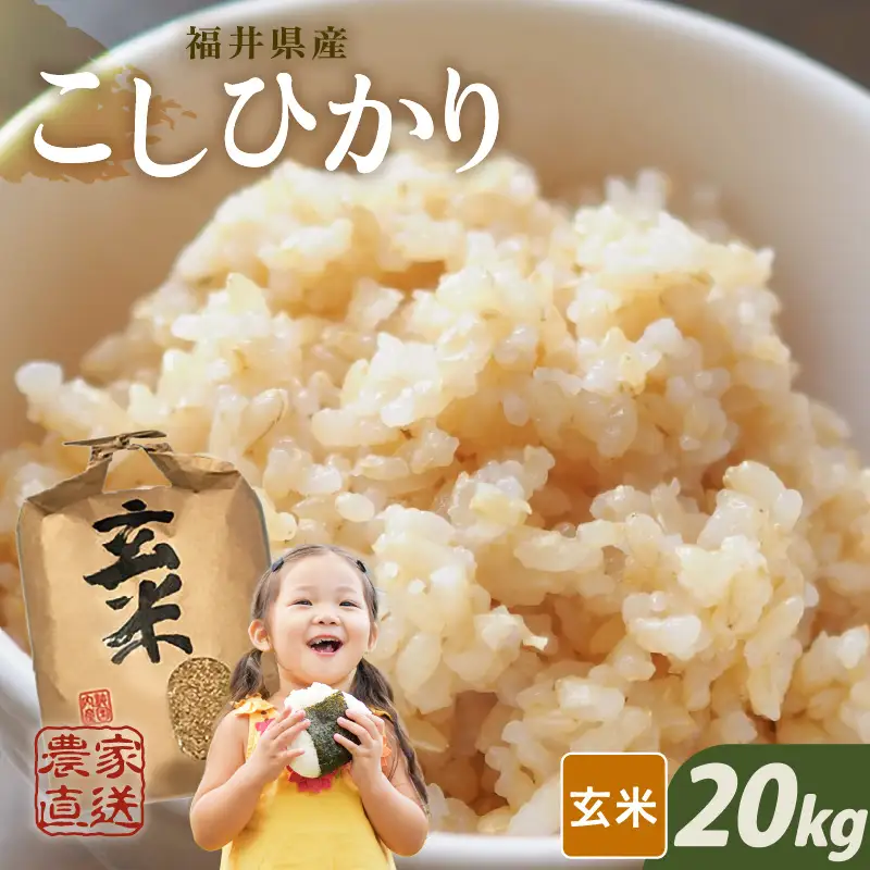 【先行予約】【令和8年産・新米】【玄米10kg×2袋】福井県産 コシヒカリ20kg 【2026年10月上旬以降順次発送】 [D-8915_02]