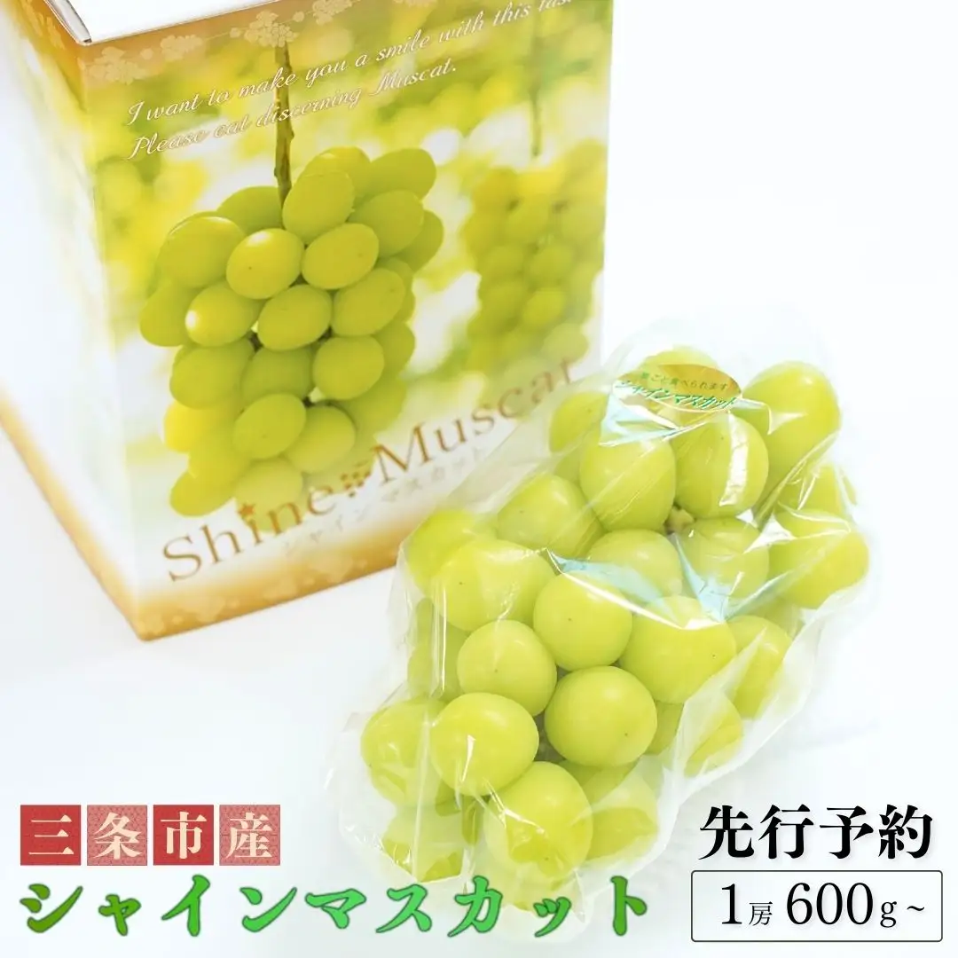 先行予約 シャインマスカット 1房 (600g以上) 令和8年度 新潟県産 種なし ぶどう マスカット JAえちご中越