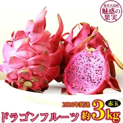 2026年発送【奄美大島産】魅惑の果実・ドラゴンフルーツ(赤玉)約3kg