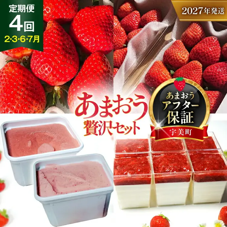 いちご 定期便 大粒 DXあまおう ジェラート 2種 レアチーズケーキ 6p いちご 【2027年発送】