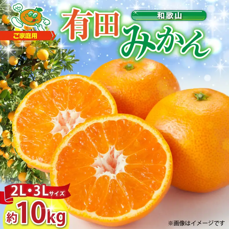 【2026年先行予約】ご家庭用　和歌山 有田みかん 約10kg (2L、3Lサイズ)【湯浅町】_ZJ6079