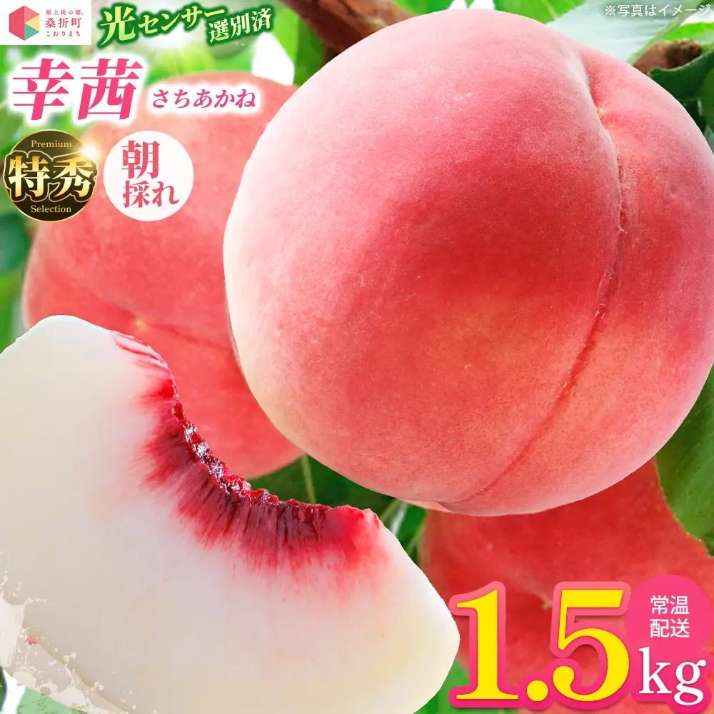 もも【幸茜・2026年産】特秀1.5kg　桑折町産　JAふくしま未来　桃　献上桃の郷　【07301-0139】