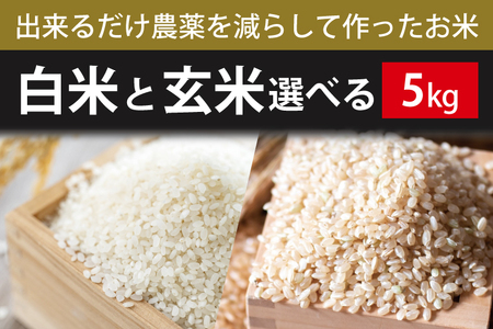 【2026年9月下旬より順次発送】【できるだけ農薬を減らして作ったお米】令和8年産こしひかり 5kg(白米または玄米)｜米 お米 こめ こしひかり コシヒカリ 令和8年産 R8年産 新米 白米 玄米 選べる 減農薬 茨城県 行方市(BI-72)