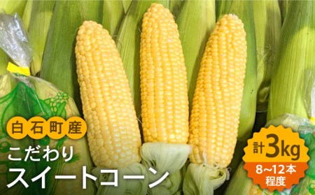 【先行予約】【数量限定】スイートコーン 約3kg / とうもろこし [IAO014]