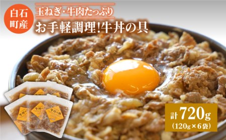 牛丼の具（120g×6袋入り） / 牛丼 [IAZ005]