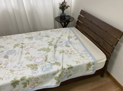 泉大津産 綿マイヤー毛布 シングル 140×200cm 1枚 S－81722BL [2264]