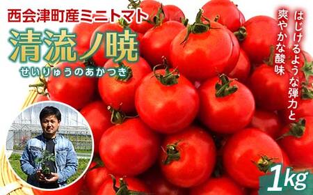 坂井農園 栽培期間中農薬不使用、不耕起栽培西会津ミネラルミニトマト（1kg）（清流ノ暁） F4D-0481