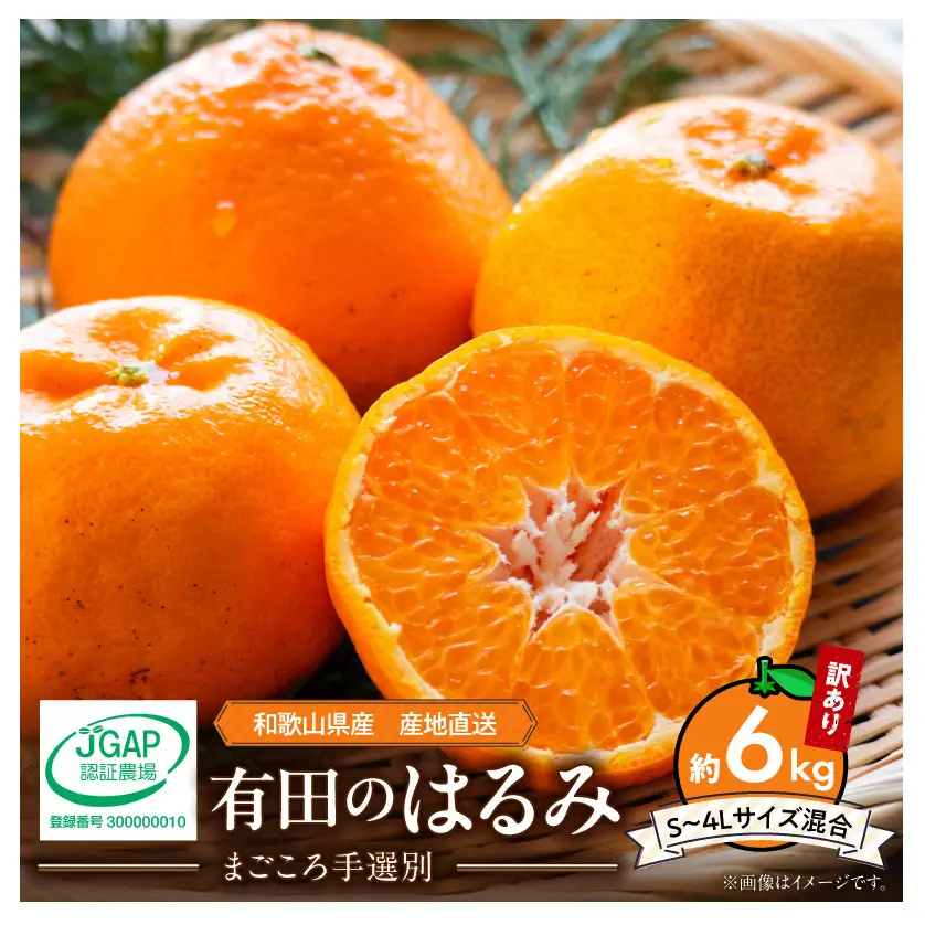 【2027年先行予約】和歌山県産 有田の はるみ 【訳あり 家庭用】 約6kg (S～4Lサイズ混合)_ZE6353n