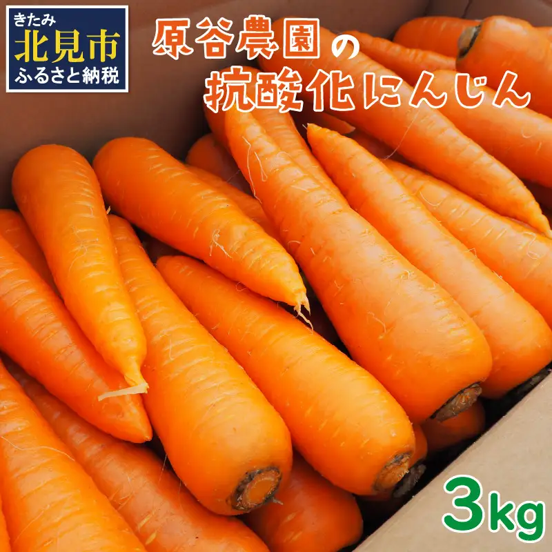 【予約：2026年8月下旬から順次発送】原谷農園の抗酸化にんじん 3kg ( 野菜 人参 農園 期間限定 ふるさと納税 )【058-0006-2026】
