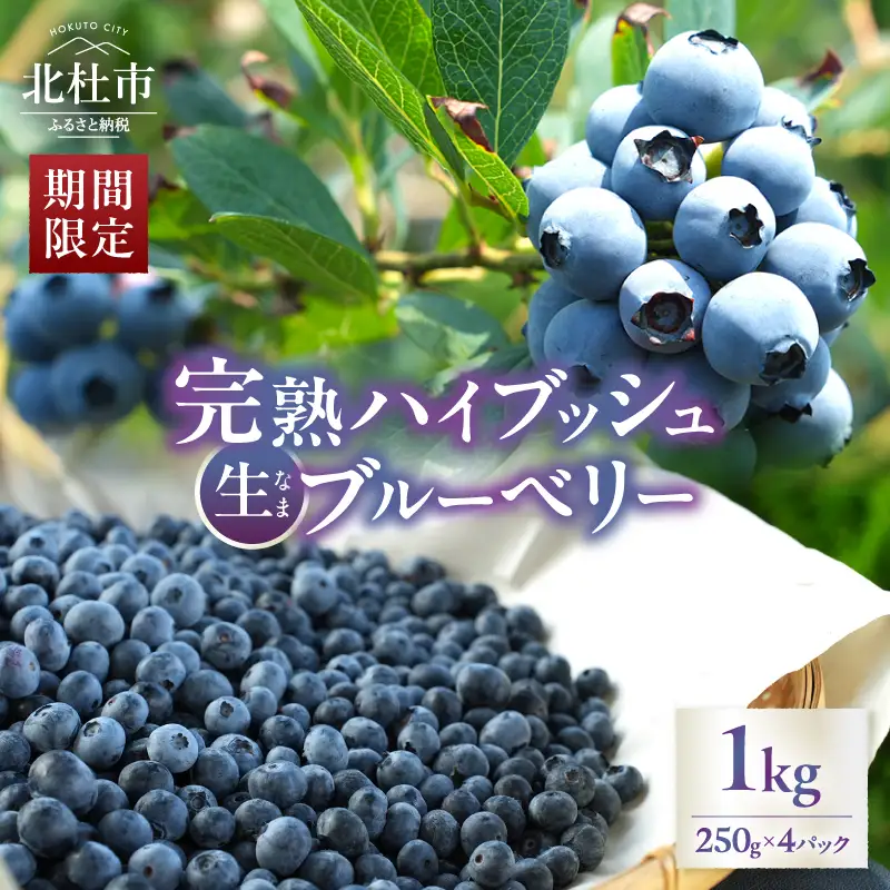 【2027年先行予約】大きく甘い、完熟ハイブッシュブルーベリー 1kg（250g×4パック） [h186]