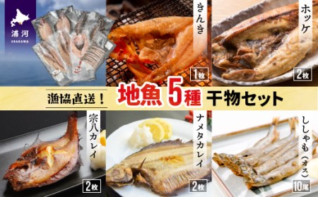 漁協直送！地魚5種の干物セット [02-1101]