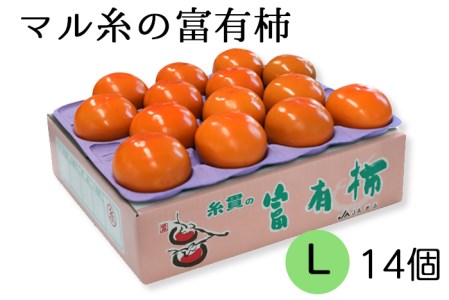 [令和8年産]  柿 富有柿Lサイズ(14個入) マル糸柿振興会 柿