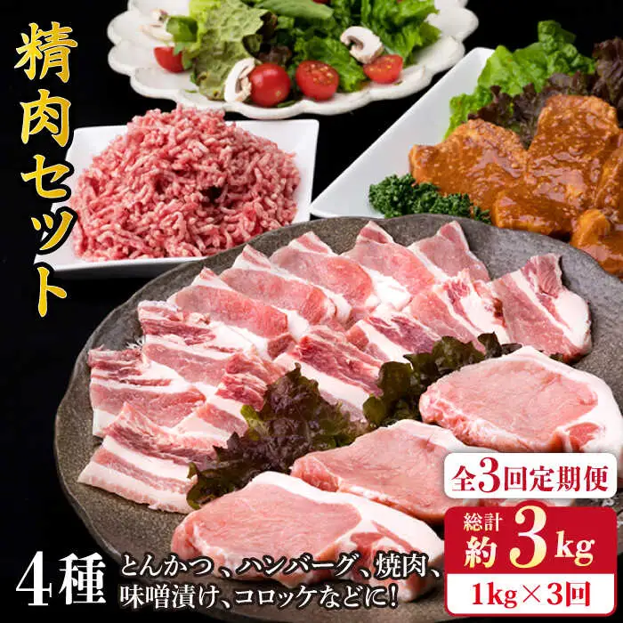 【全3回定期便】毎日のメインのおかずを彩る精肉セット 1,050g 2-3人前 4種 糸島市/糸島ミートデリ工房[ACA201]