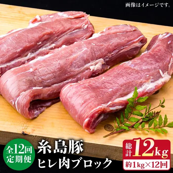 【全12回定期便】糸島産豚肉 ヒレ肉 ブロック 1kg （1本350g前後×3本） 糸島市/糸島ミートデリ工房[ACA235]
