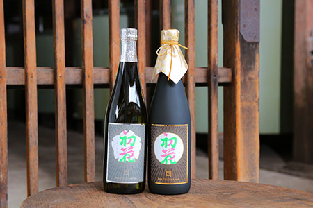 金升 純米大吟醸 初花・特別純米 初花　【 新潟県 新発田市 日本酒 地酒 金升酒造 初花 純米大吟醸 特別純米 2本 720ml E21_01 】