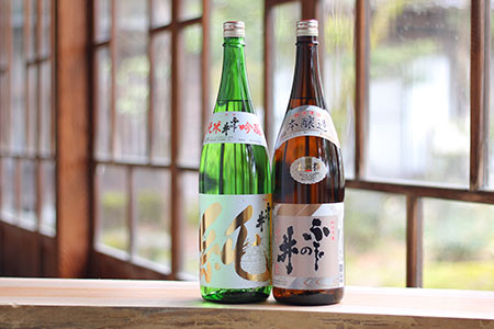 純米吟醸 純・本醸造 上撰　【 新潟県 新発田市 日本酒 地酒 純米大吟醸 本醸造 ふじの井酒造 1,800ml 1.8L 2本 セット E28 】
