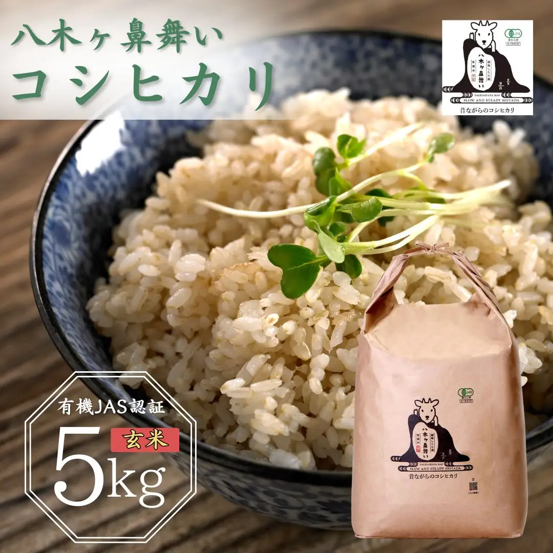 先行予約 有機JAS認証 八木ヶ鼻舞い オーガニックなコシヒカリ 玄米 5kg 令和8年産 新潟県三条市産