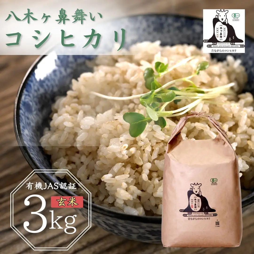 先行予約 有機JAS認証 八木ヶ鼻舞い オーガニックなコシヒカリ 玄米 3kg 令和8年産 新潟県三条市産 