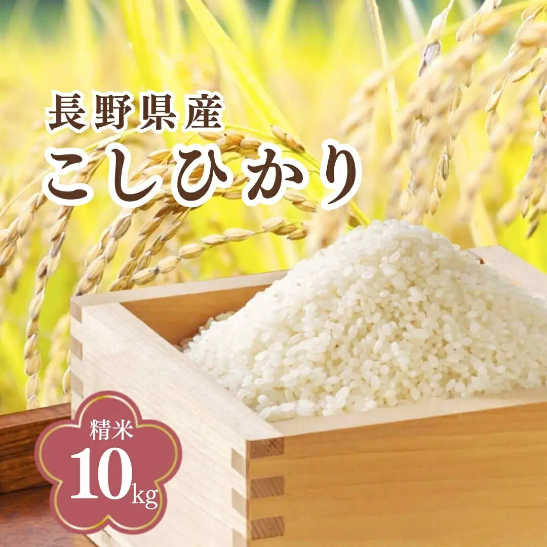 令和8年産長野県産 こしひかり 精米（米袋10kg）|コシヒカリ 10kg 