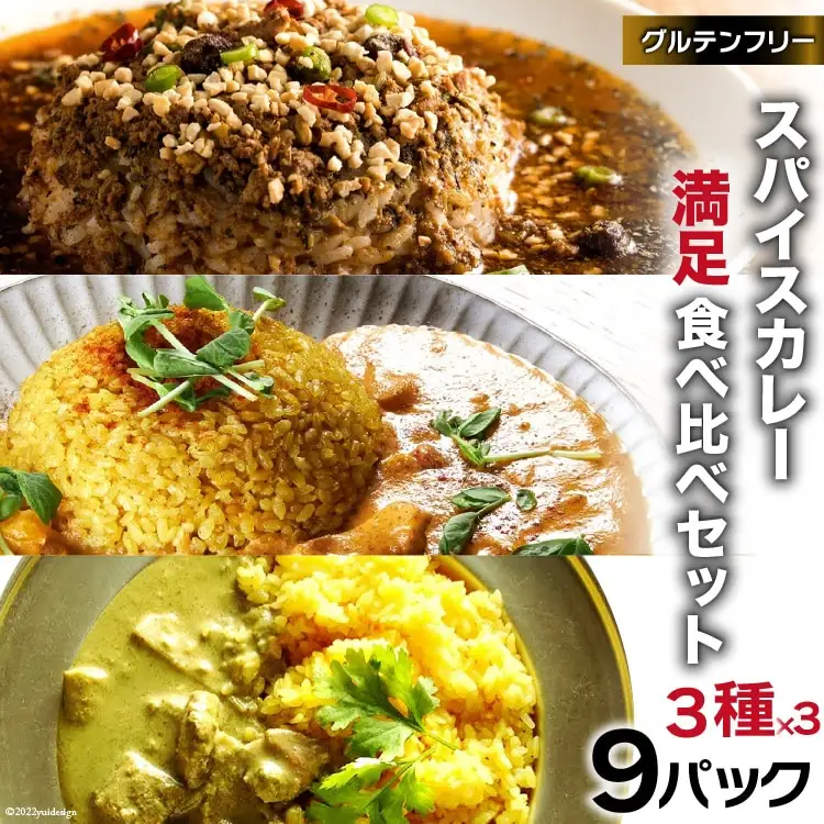 CG028 スパイスカレー 満足食べ比べセット 3種類 150g×各3 計9パック