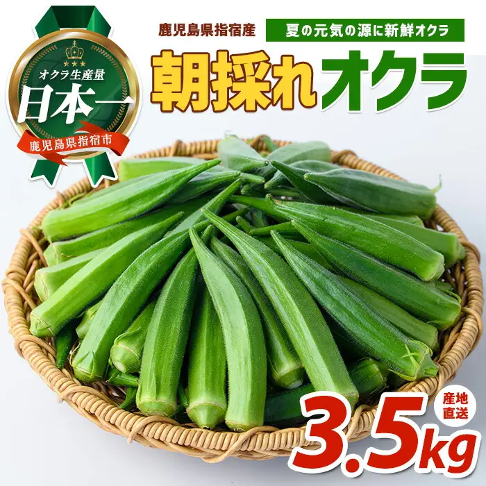 2026年 発送 夏の元気の源! 朝採れ新鮮いぶすきオクラ約3.5kg 指宿促成青果 IB092-002 オクラ オクラ