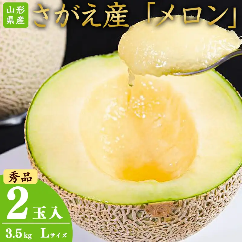 令和8年産 アールスメロン 2玉セット 秀品 Lサイズ （計3.5kg） 山形県産 【2026年9月中旬頃から10月下旬頃発送予定】　015-B-JA020