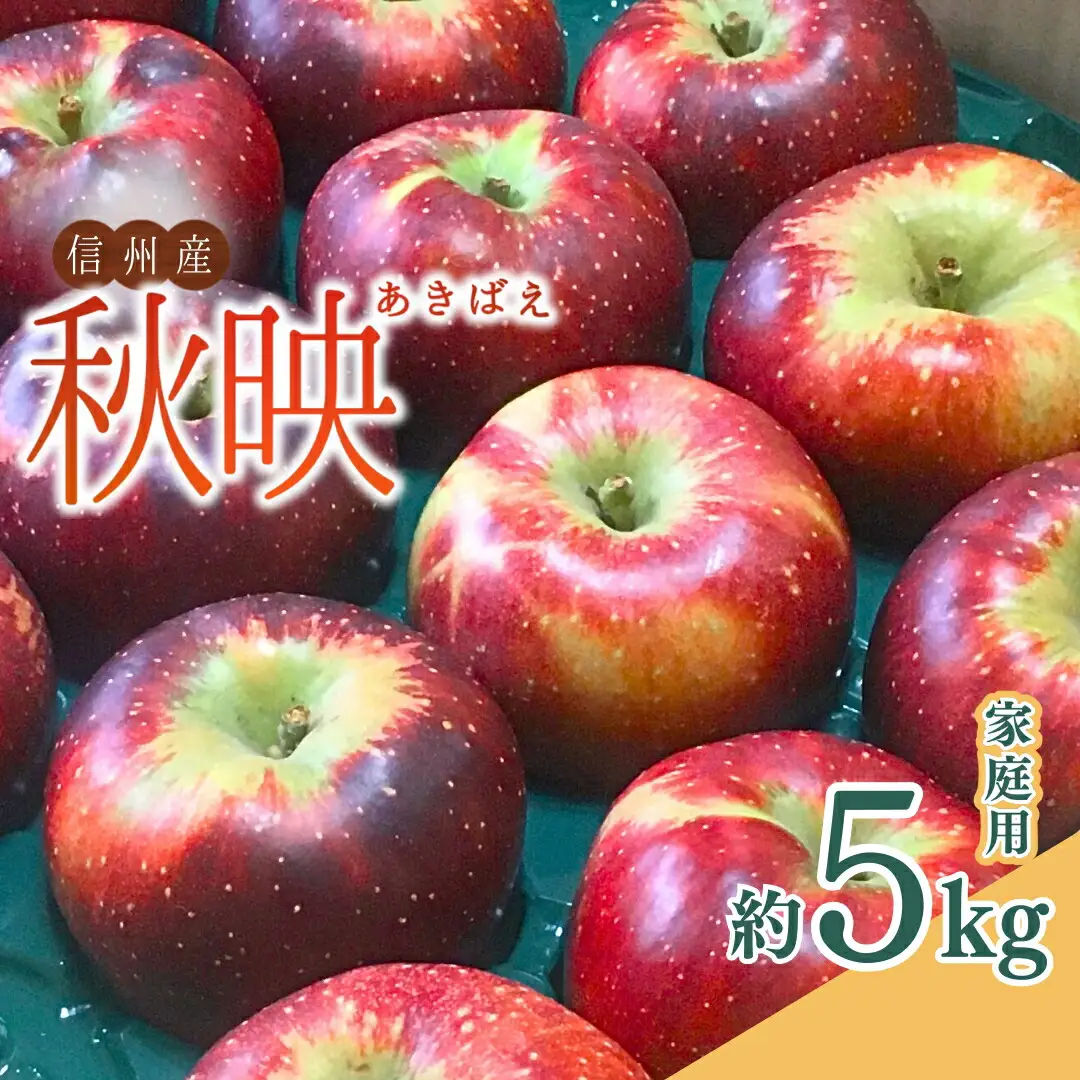 太陽の恵みたっぷり りんご 秋映 家庭用 約5kg 訳あり ｜ りんご