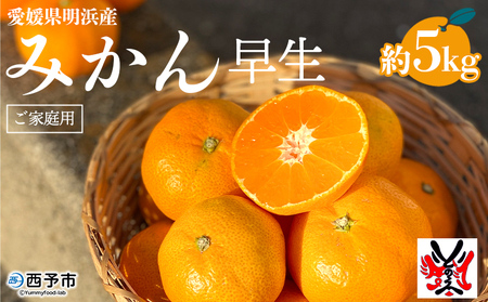 愛媛県明浜産 みかん（5kg）早生 ATI0007