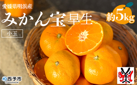愛媛県明浜産 みかん（宝）5kg 早生 ATI0021