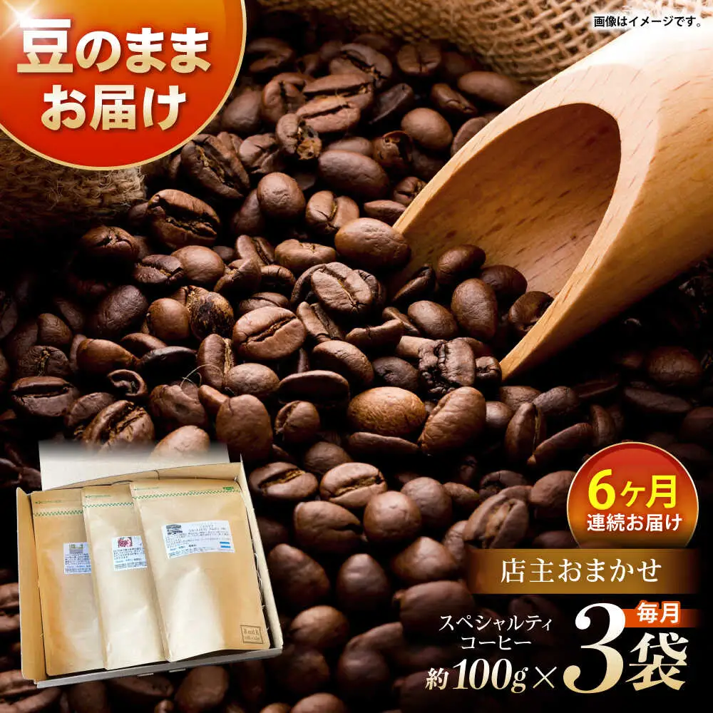 【6回定期便】自家焙煎スペシャルティコーヒーおまかせセット(豆のまま) / スペシャルティコーヒー ブレンド コーヒー / 諫早市 / R and R coffee labo [AHCJ020]